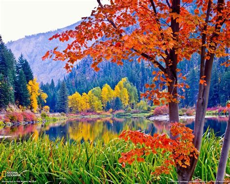 Fall Colors Wallpaper Backgrounds - Wallpaper Cave