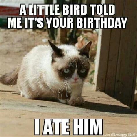 Happy birthday | Grumpy cat birthday, Grumpy cat humor, Grumpy cat meme