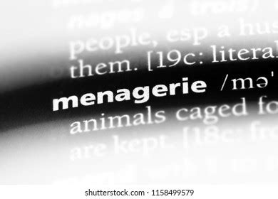 Paper Menagerie Photos, Images & Pictures | Shutterstock