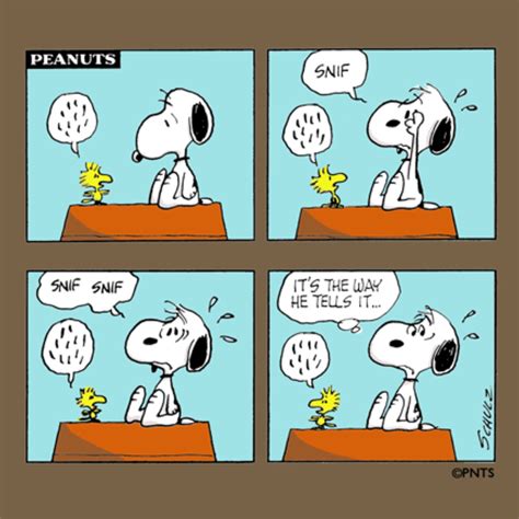 Peanuts: 15 Most Heartwarming Snoopy & Woodstock Best Friend Moments