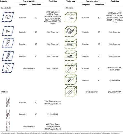 | Modes of cell migration. | Download Table