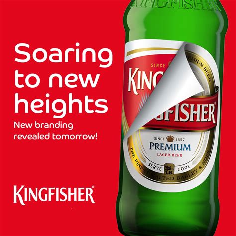 Kingfisher Blue Beer Wallpaper