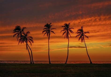 Perfect Sunset Naples Beach Photograph by Joey Waves