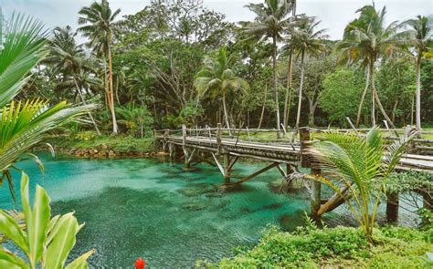 Savasi Island Resort - Savusavu Tourism Association