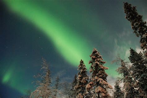 Northern Lights Tours in Lapland | Scandinavian Travel Group