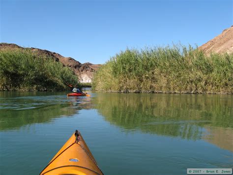 Martinez Lake/Colorado River Kayaking, January 2008: Day 2 - on 'The Beckoning'