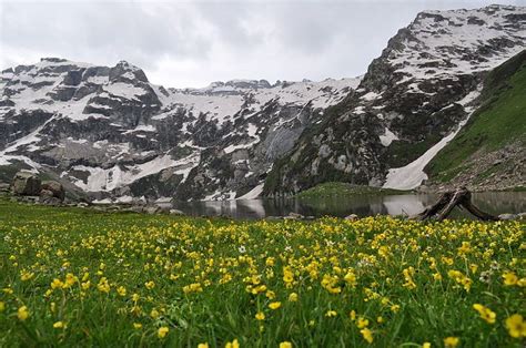 Trekking in Sonamarg: Kashmir's 'Meadow of Gold' - Chandra posts Tourist Spots, Tourist Places ...