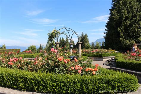 Roses at a Vancouver University Campus | Destinations Detours and Dreams