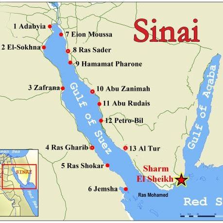 (PDF) Macrobenthic Invertebrates in the Intertidal Zone at both Sides of the Suez Gulf