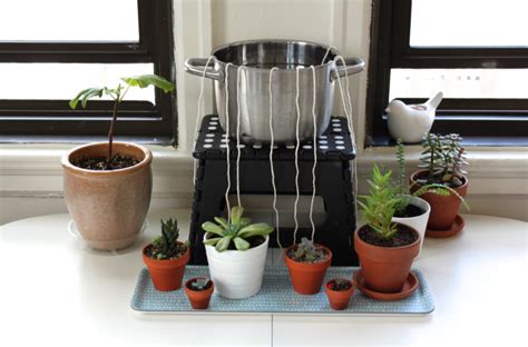 6 Ways to Water Your Plants While You’re Away | Self watering plants, Self watering, Plant ...