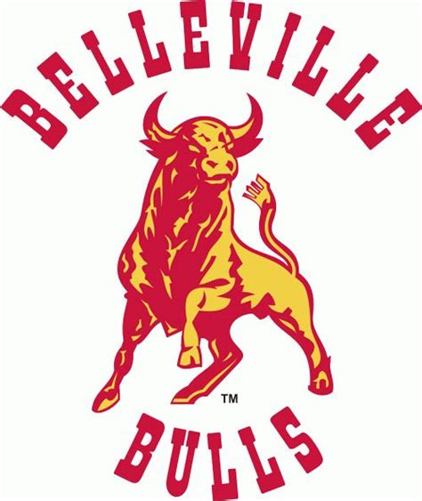 Belleville Bulls Primary Logo | Bull logo, Hockey logos, Bull