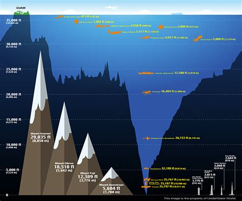 10 Years of Science and Stewardship in Pacific Marine National Monuments | NOAA Fisheries