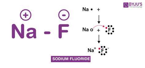 Chemical Structure Of Sodium Fluoride - Infoupdate.org