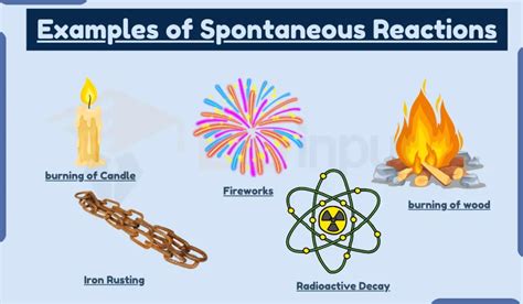 10 Examples of Spontaneous Reactions