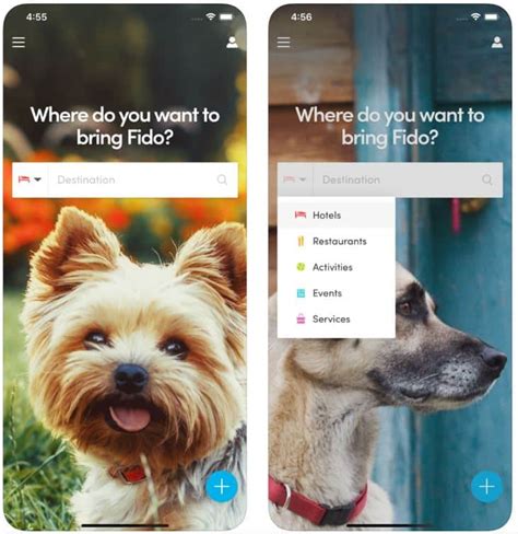 The Best Dog Apps for Pet Parents in 2019 | The Dog People by Rover.com