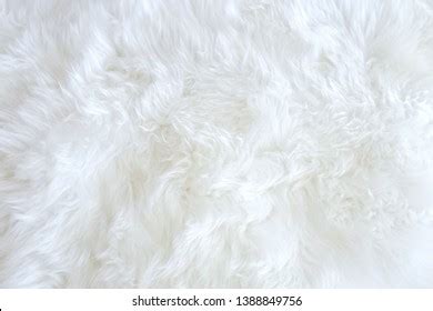 Soft White Fur Background Carpet Foto de stock 1388849756 | Shutterstock