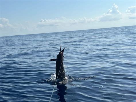 Family Fishing, Quepos - Gamefisher 2