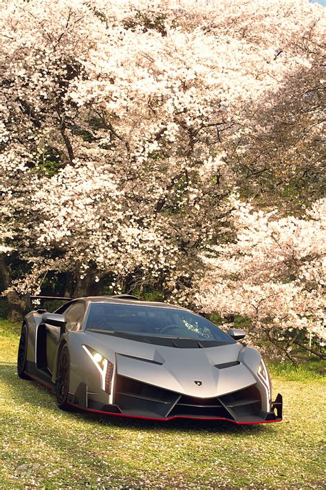 Lamborghini Veneno Roadster Hd Wallpaper