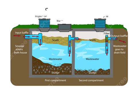 Diagram Of A Septic Tank And Drain Field System Vector, Septic Tank ...