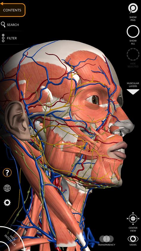 Anatomy 3D Atlas for Android - APK Download