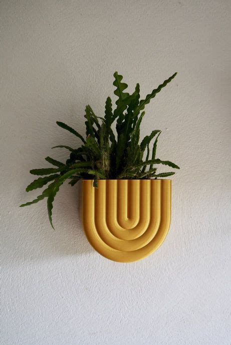 a plant in a yellow pot on a white wall