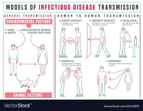 Disease transmission infographics Royalty Free Vector Image