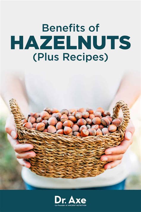 Hazelnuts Benefits, Nutrition and How to Use - Dr. Axe