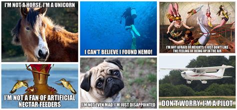 AI-Memer: Using Machine Learning to Create Funny Memes | Towards Data ...