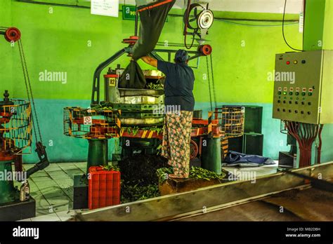 Kandy, Sri Lanka - April 12th, 2017: Unknown female worker at ...