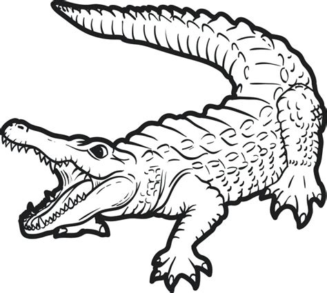 Crocodile Outline | Free download on ClipArtMag