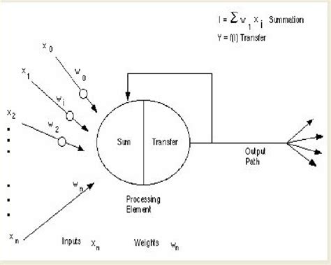 Basic Artificial Neuron | Download Scientific Diagram