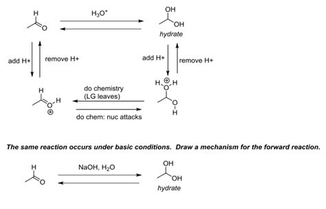 Solved Draw a mechanism for formation of the hydrate under | Chegg.com