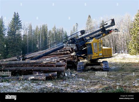 LOGGING INDUSTRY Stock Photo - Alamy