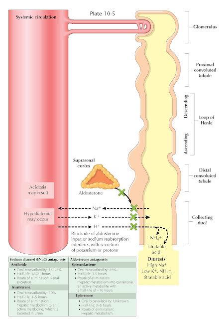 POTASSIUM-SPARING DIURETICS - pediagenosis