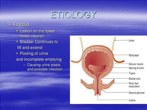 Reasons For Loss Of Bowel Control - Best Culinary and Food