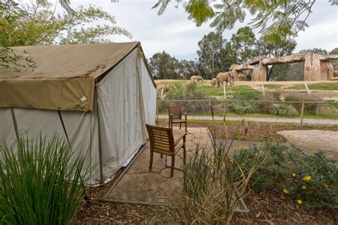 10 Cities with Epic Glamping Locations - Campendium