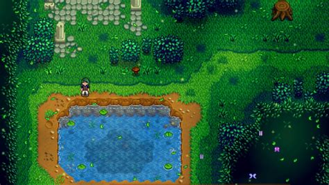 Stardew Valley Secret Woods: 6 Interesting Things To Do