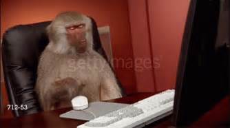 Baboon Computer GIF - Baboon Computer - Discover & Share GIFs