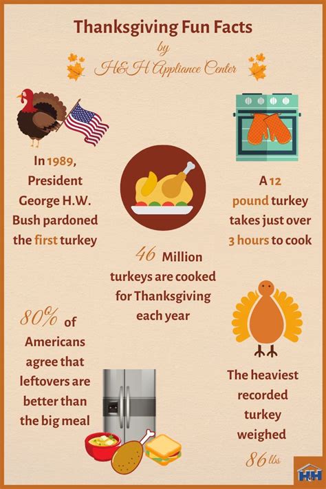 Fun Thanksgiving Facts | Thanksgiving fun facts, Thanksgiving fun, Thanksgiving facts