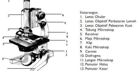 Gambar Bagian-Bagian Mikroskop Beserta Fungsinya - Atap Ilmu