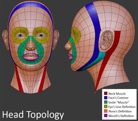 Easy way to make the 3D model of a face using a reference image