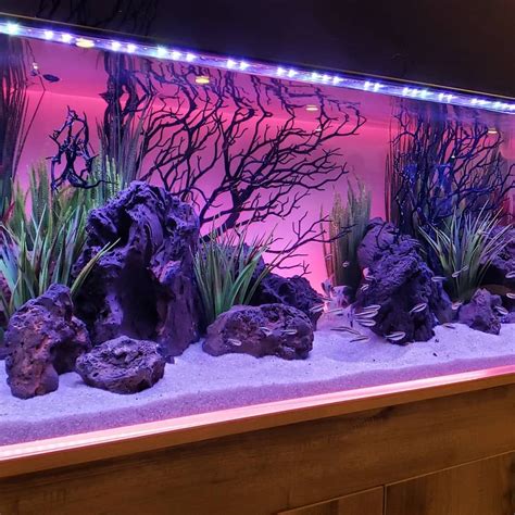 AQUAPROS (Mike) on Instagram: “@currentusa has some pretty sweet ...