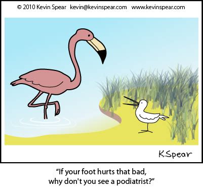 flamingos Archives - Kevin H. Spear