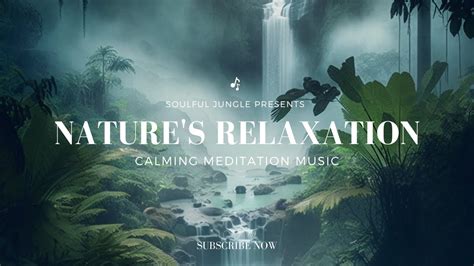 Nature's Relaxation: Listen to Calming Ambient Music for Stress Relief, Sleep, and Meditation ...