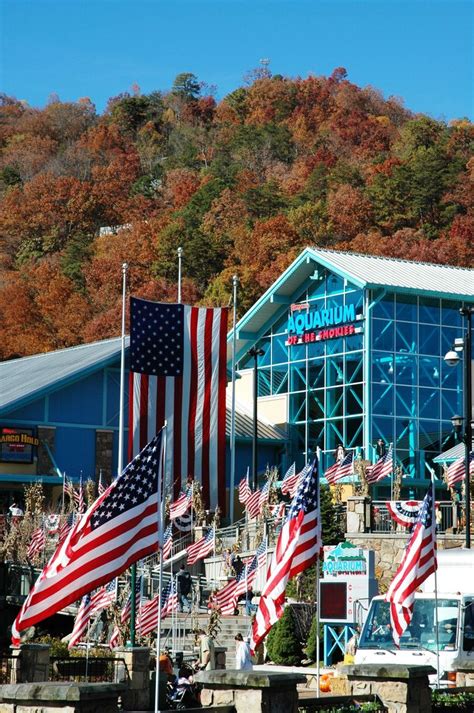 Gatlinburg Aquarium | Gatlinburg aquarium, Gatlinburg, Gatlinburg honeymoon