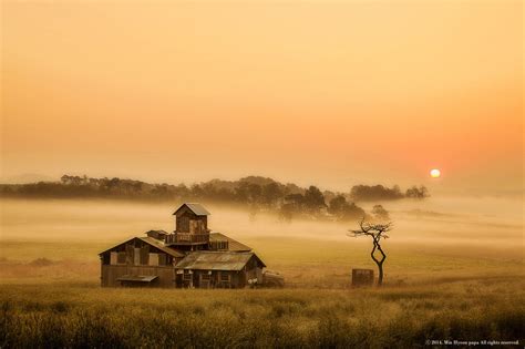 Sunrise at the farm - null