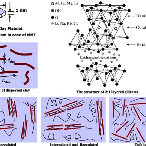 Formation of hydrogen bonds between PBS and clay, which leads to the... | Download Scientific ...