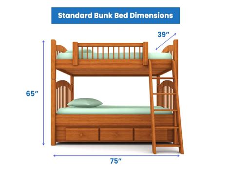 Bunk Bed Dimensions (Standard & Different Sizes) - Designing Idea