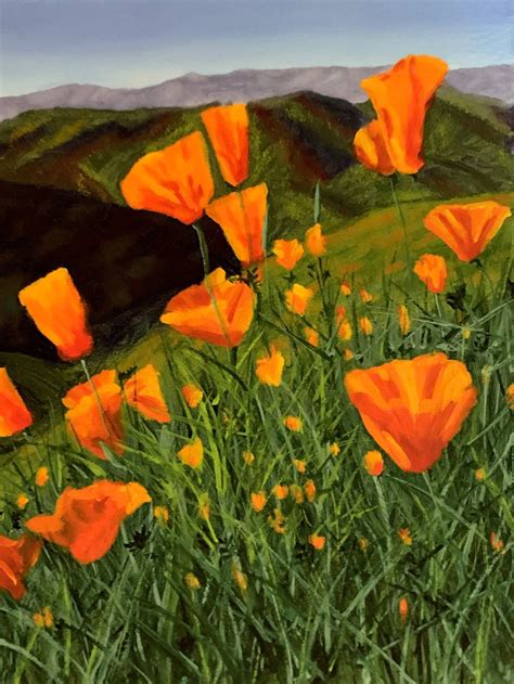 California Poppies - Etsy