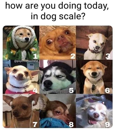 200以上 how are you today meme scale 172961-How are you feeling today scale meme - Blogpictjpmwgu